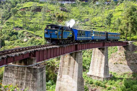 Ooty: Nature’s Retreat